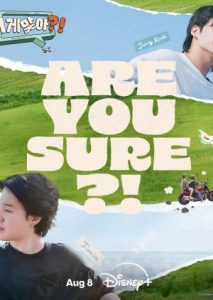 Are You Sure (2024)