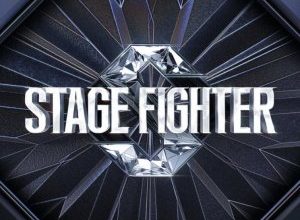 Stage Fighter